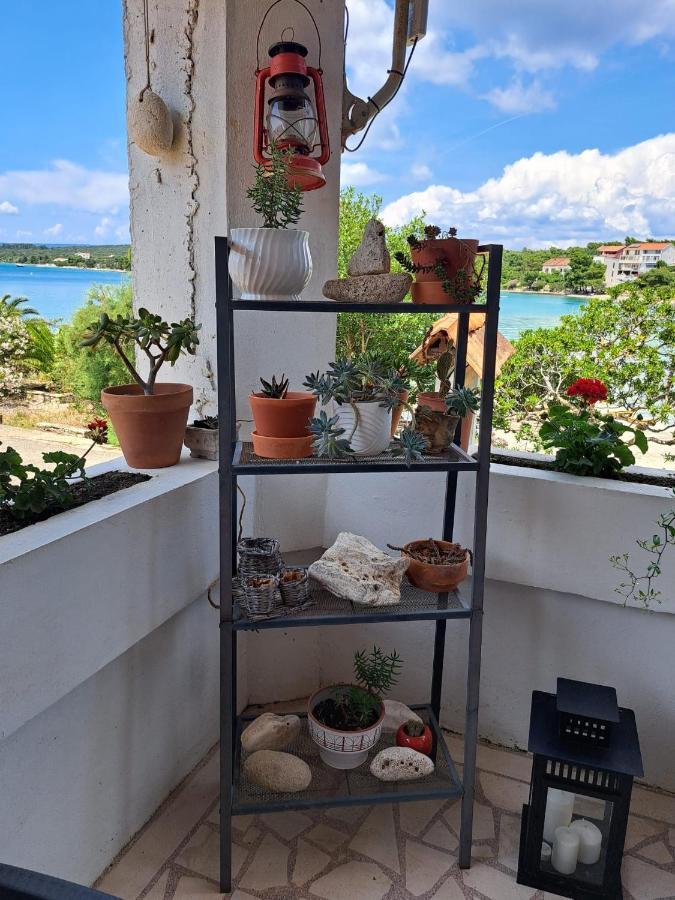 Guesthouse Tamara Lovište 外观 照片
