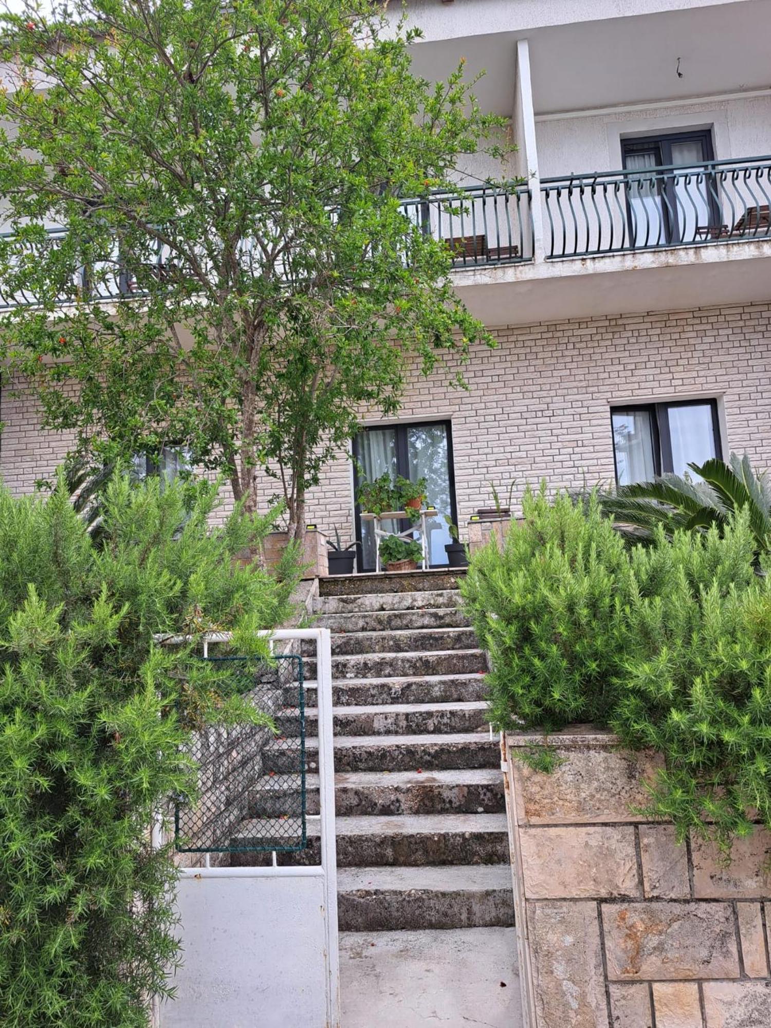 Guesthouse Tamara Lovište 外观 照片